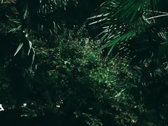 -上海怡沁园度假酒店