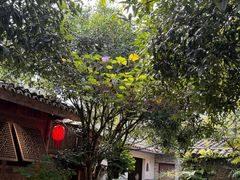 -青城甲(青城山店)