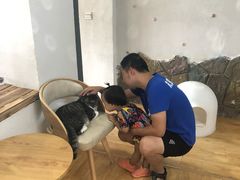 -海边的猫和咖啡馆