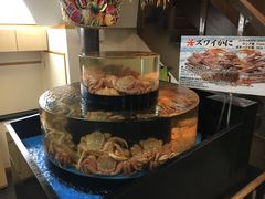 -蟹道乐(道顿堀本店)