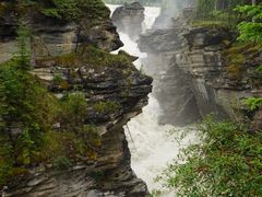 -阿萨巴斯卡瀑布观景点