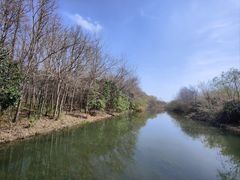 -溱湖国家湿地公园