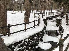 -北海道神宫