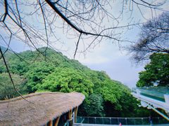-南山植物园