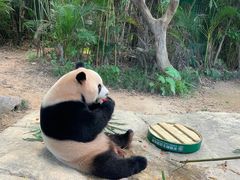 -广州长隆野生动物世界