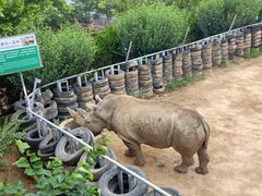 -西霞口神雕山野生动物世界