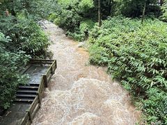 -峨眉山报国寺