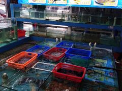 水产区-黄大妈农家菜