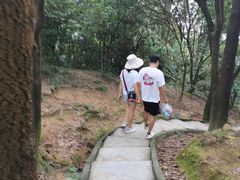 -火炉山森林公园