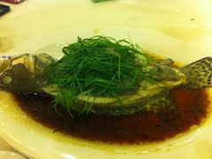 清蒸桂花鱼-丰宝源客家菜(常平店)