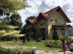 -黄色小屋