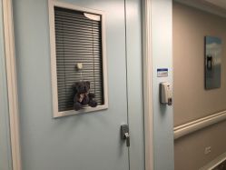 -杭州贝瑞斯美华妇儿医院·早孕·产检·儿科