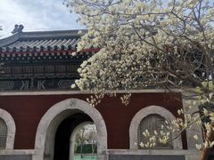 -北京艺术博物馆(万寿寺)