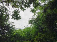 -潜山国家森林公园