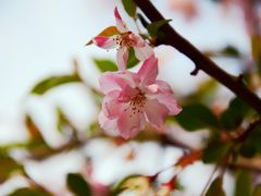 -荆川公园