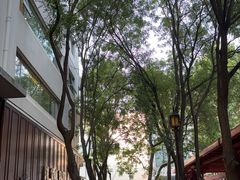 -贺秦生陕面王(富力城店)