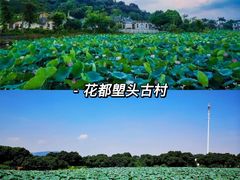 -大湾区中央湿地公园