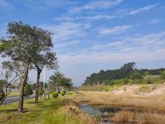 -露天矿生态公园