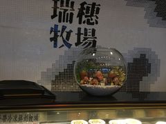 -瑞穗牧场