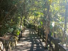 -雁南飞茶田景区