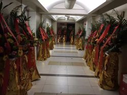 -源素美容养生会所