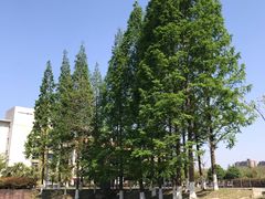-四川大学江安校区小吃城