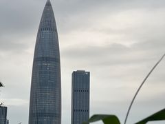 -四葉寿司·城市景观(深圳湾1号店)