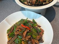 -秀儿四九城·新京菜(亚运村鸟巢店)