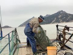 -大京沙滩