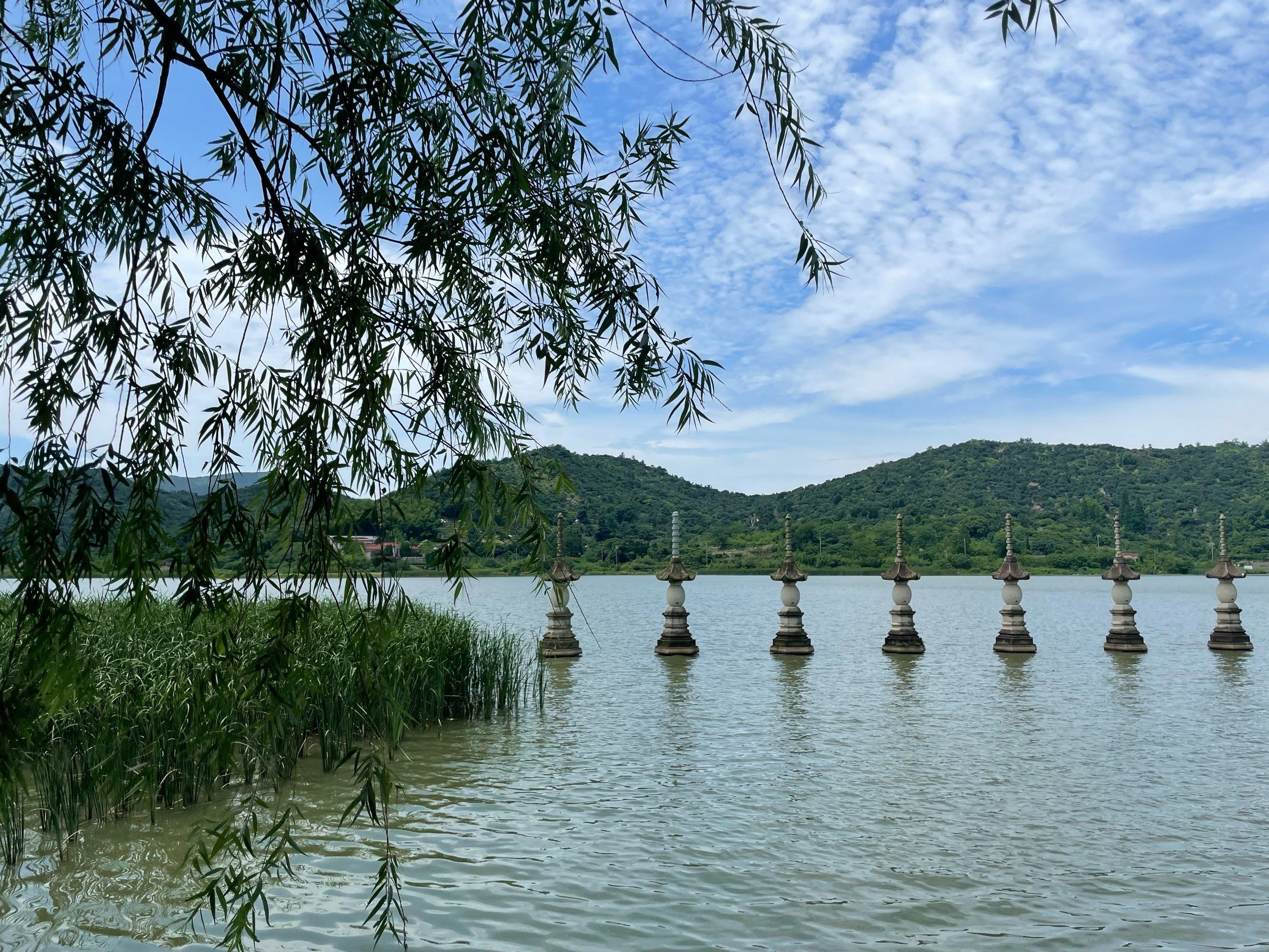 随手拍 慈溪摘杨梅去啦嘻嘻