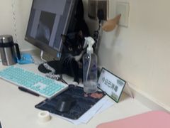 -全心全意连锁动物医院·微创中心·内科急重症·心脏专科(丰管路店)