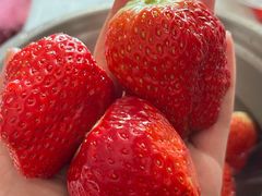 -渔梁小馆·建德山里菜(EFC欧美广场店)