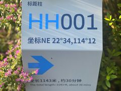 -梧桐山风景名胜区