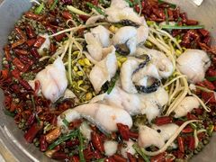 -蜀川川破店·江湖菜·烧烤(北京首店)