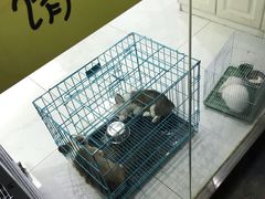 -FAELING PETS美天灵宠物(富力广场店)