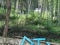 -东明山森林公园
