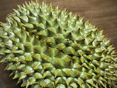 -双福水果批发市场