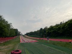 -南翠屏公园