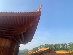 -深圳仙湖植物园