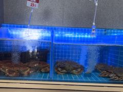 -七欣天香辣蟹火锅(南京桥北太平店)