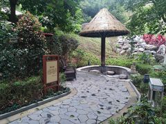 -英德宝晶宫天鹅湖茶语温泉