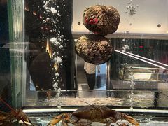 -官也街澳门火锅(新源里店)