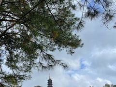 -阿育王寺