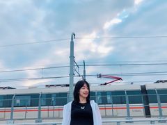 -海堤纪念公园