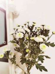 -美肤盾祛痘·问题肌头疗管理中心