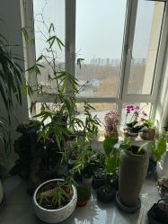 点击看大图 -翎兰瑜伽·普拉提