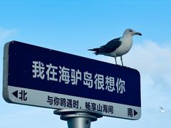 -海驴岛(荣成市)