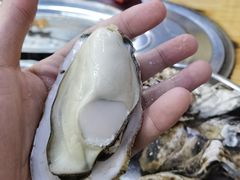 原只蒸生蚝-蚝得喜海鲜(东城店)