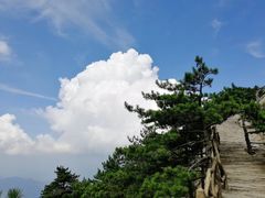 -罗田天堂寨风景区