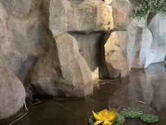 -香山湖家家宴(中山陵店)